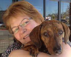 Condolences for the loss of a beloved pet dog, Angel