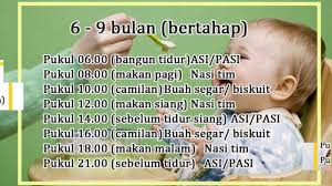 Jadwal memberi makanan bayi 6 bulan tidak terlalu banyak kok. Jadwal Makan Bayi Yang Tepat Sesuai Dengan Usia Bayi Derdasarkan Rekomendasi Idai Ikatan Dokter Anak Youtube