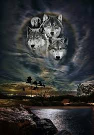 Pin By Asena On Animals Wolf Spirit Animal Wolf Pictures Wolf Painting