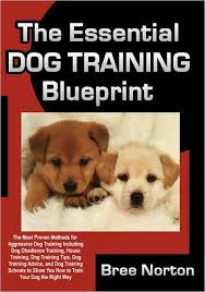 The Essential Dog Training Blueprint: The Most Proven Methods for  Aggressive Dog Training Including Dog Obedience Training, House Training,  Dog ...