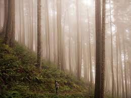 Most Picturesque Places In Oregon Are Open To Tourists All Year Round In Particular The Most Popular Route Are The Mountain Nature Photography Oregon Nature