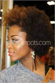 Natural hair has an unmistakable beauty. Afro Hair With Highlights Afro Hair Color Afro Hair Highlights Hair Color Highlights