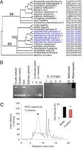 Property enhancements, additions and alterations may compromise termite protection the a.i.m. Targeting An Antimicrobial Effector Function In Insect Immunity As A Pest Control Strategy Pnas
