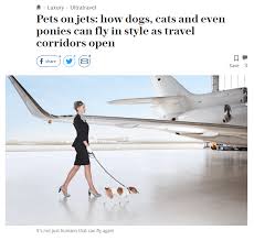 Speaking at tonight's press conference alongside sir. Pets On Jets How Dogs Cats And Even Ponies Can Fly In Style As Travel Corridors Open Luxaviation