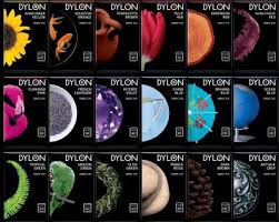 Win 5 Dylon Washing Machine Dyes Of Your Choice