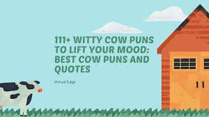 111 Witty Cow Puns To Lift Your Mood Best Cow Puns And Quotes Virtual Edge