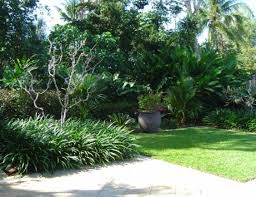 Formal And Tropical Tropical Garden Tropical Garden Design Garden Landscape Design