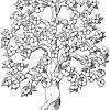 Free, printable tree coloring pages are fun! Https Encrypted Tbn0 Gstatic Com Images Q Tbn And9gctekcbcj Vbxxe8mg0rncbzojmllukeklhj Hzsymm6bc5z9b79 Usqp Cau