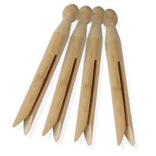Image result for clothespin body