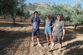 Les Chenes Verts Drome France In Olio Veritas