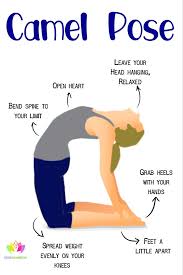 20 Minute Beginner Yoga Workout For Flexibility In 2020 Beginner Yoga Workout Yoga For Beginners Yoga Fitness