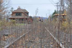 If the rail trail is built, the lake placid train will be put out of business. Ground Broken On Adirondack Rail Trail