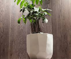Maybe you would like to learn more about one of these? Re Pot A Magical Bean 6 Steps With Pictures Instructables