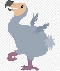 Pngtree offers dodo birds png and vector images, as well as transparant background dodo birds clipart images and psd files. Dodo Bird Png Download 755 1058 Free Transparent Bird Png Download Cleanpng Kisspng