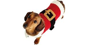 Designed by rae blacklege, sandbar is a relaxed fit pullover. Dog Christmas Outfit How To Knit A Dog Santa Outfit