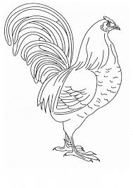 Free Rooster Pictures To Print Free Printable Chicken Coloring Page Back Print This Chicken Col Chicken Coloring Pages Chicken Coloring Animal Coloring Pages