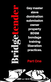 Bridgetender: Gay master slave domination submission owner property BDSM  bondage training liberation practices. (Part Book 1)