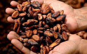 Cargill Updates Sustainable Cocoa Plan With Zero