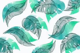 Leaf peppermint green transprent png free download. Vectores Gratuitos De Hojas Decoradas 78 000 Imagenes En Formato Ai Eps