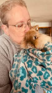 Loss of Beloved Rabbit Coco at 13.7 Years Old