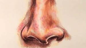 How To Draw A Nose With Colored Pencils Colored Pencil Drawing Tutorial Color Pencil Drawing Nose Drawing