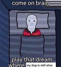 Afi's 100 years.100 heroes & villains is a list of the 50 top movie heroes and 50 top movie villains of all time.the characters on this list have enriched america's film heritage while continuing to inspire contemporary artists and audiences.the afi's 100 years.100 heroes & villains television special, hosted by arnold schwarzenegger, who earned both a hero and villain honor for his. Sad Meme But I Miss My Dog A Lot Memes