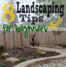 Select the content that you want on a landscape page. How To Landscape Backyard Landscaping Outdoor Landscaping Backyard Makeover