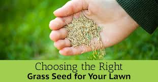 Flower mound lawn care offers free consultations so that we can help you come up with the best lawn care service for your home. Choosing The Right Grass Seed For Your Lawn Meyers Landscape Services Inc