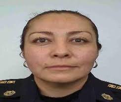 Con fundamento en lo establecido en los numerales 5, 6 y 19 de los  Lineamientos generales para la integración y funcionamiento