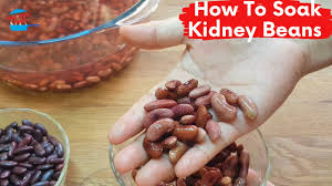 Check spelling or type a new query. How To Soak And Cook Kidney Beans Youtube