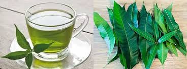 Maybe you would like to learn more about one of these? Khasiat Daun Mangga Untuk Mengatasi Diabetes Secara Alami