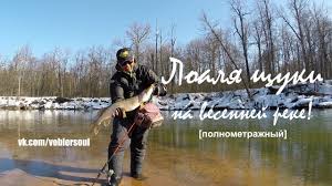 Lovlya Shuki Rannej Vesnoj So Spinningom Na Reke Video Otchet Ot 18 03 2015 G Youtube