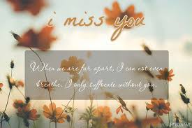 Maybe you would like to learn more about one of these? Lovely I Miss You Greeting Card With Flowers