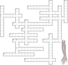 Muscle Naming Crossword Human Body Muscles Crossword Muscle Anatomy