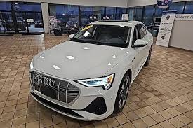 Image result for Siam Beige 2020 Audi
