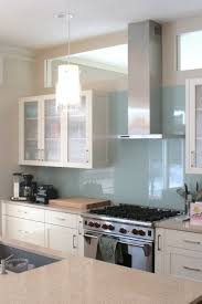 Modern Storage And Sunshine Scare Away The Monster In A Kansas Kitchen Houzz This Is Th Kitchen Backsplash Designs Glass Backsplash Kitchen Glass Backsplash