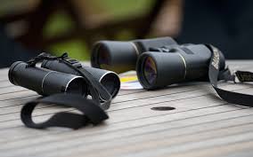 Check spelling or type a new query. The Best Binoculars For Bird Watching The Telegraph