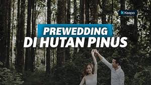 Tumis cumi cah kangkung tanpa penyedap dan saus /. 7 Wisata Hutan Pinus Yang Cocok Untuk Prewedding Keepo Me Line Today