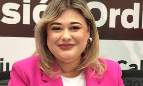 Propone Dip. Michelle Tejeda creación de Comisiones Municipales para  atender a grupos vulnerables