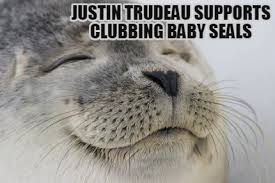 Meme Creator Funny Justin Trudeau Supports Clubbing Baby Seals Meme Generator At Memecreator Org