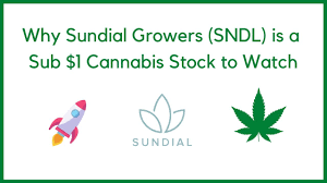 There is no recent news for this security. Why Sundial Growers Sndl Is A Sub 1 Cannabis Stock To Watch Youtube