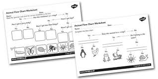 Animal Flow Chart Worksheet Places To Visit Animal Flow