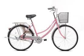 Xe Đạp Mini Thống Nhất 219-24 26 Inch