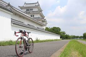江戸川サイクリングロード一周 - 31歳からの自転車