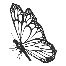 Download Monarch Butterfly Still Silhouette Transparent Png Svg Vector File 3D SVG Files Ideas | SVG, Paper Crafts, SVG File