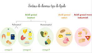 Tra gli alimenti vegetali, troviamo. I Lipidi Yuka