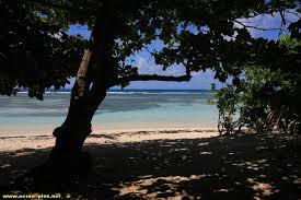 Ecran Plus La Plage De Bois Jolan Sainte Anne Guadeloupe Sainte Anne Guadeloupe Guadeloupe Plage