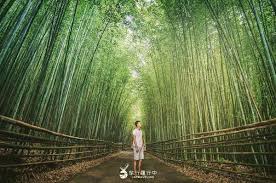 Gakie channel官方youtube頻道 gakie channel official youtube channel 分享最新和走心的歌曲。 如果喜歡的話，請記得訂閱跟分享讓更多人知道喔! 360åº¦è¶å'ç'°æ¯ ä¸­å°ç£èµ°æ¥è¡ç¨å¤§å¬ééè½æ¼«éè¶å¤§ç¶ å¢è¿·å®® Ettodayæéé² Ettodayæ°èé²