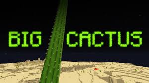 The maximum recorded height of the cardon cactus is 63 feet with a foot trunk diameter of more than three feet with several side branches. The Quest For The Tallest Cactus In Minecraft Youtube
