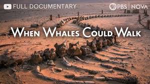 The Delta Submersible: Delta Oceanographics